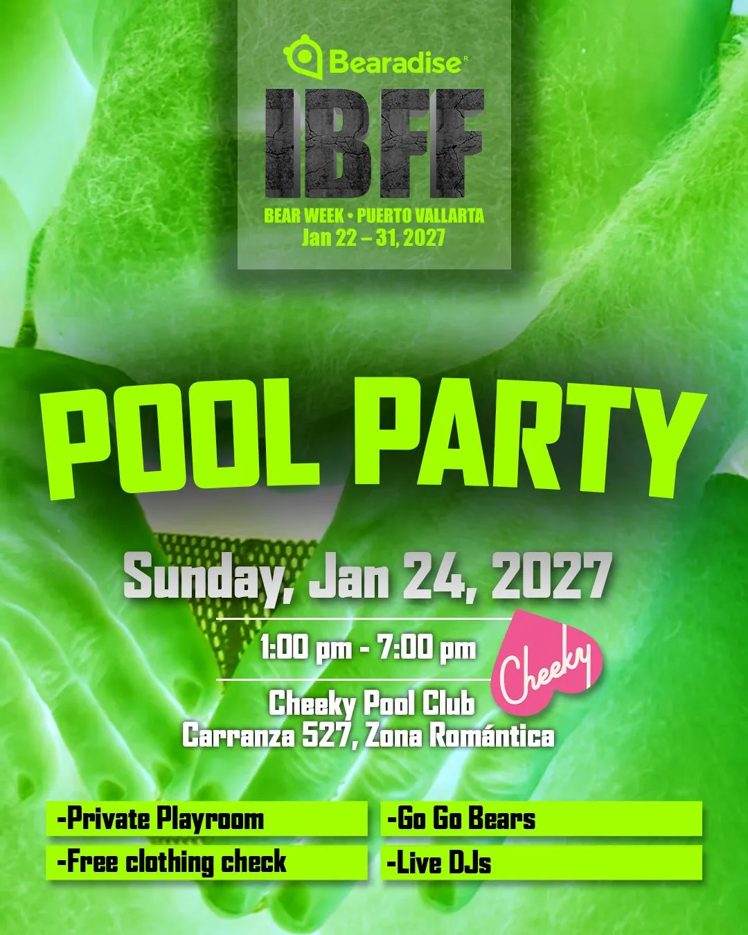 Pool Party poster