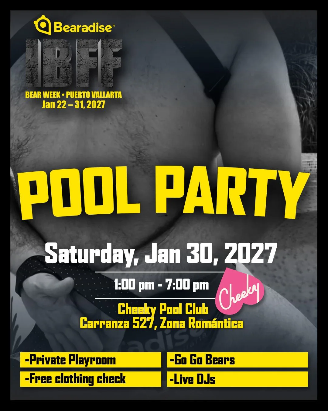 Pool Party poster