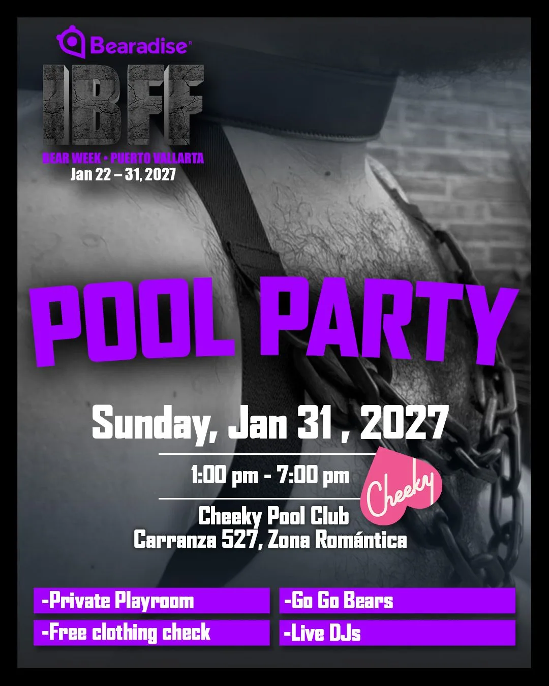 Pool Party poster
